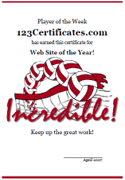 free volleyball certificate template